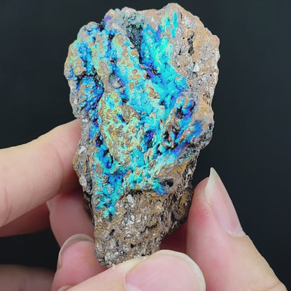 Ocean Blue Rainbow Leklai | Health, Stability, Career & Opportunities
