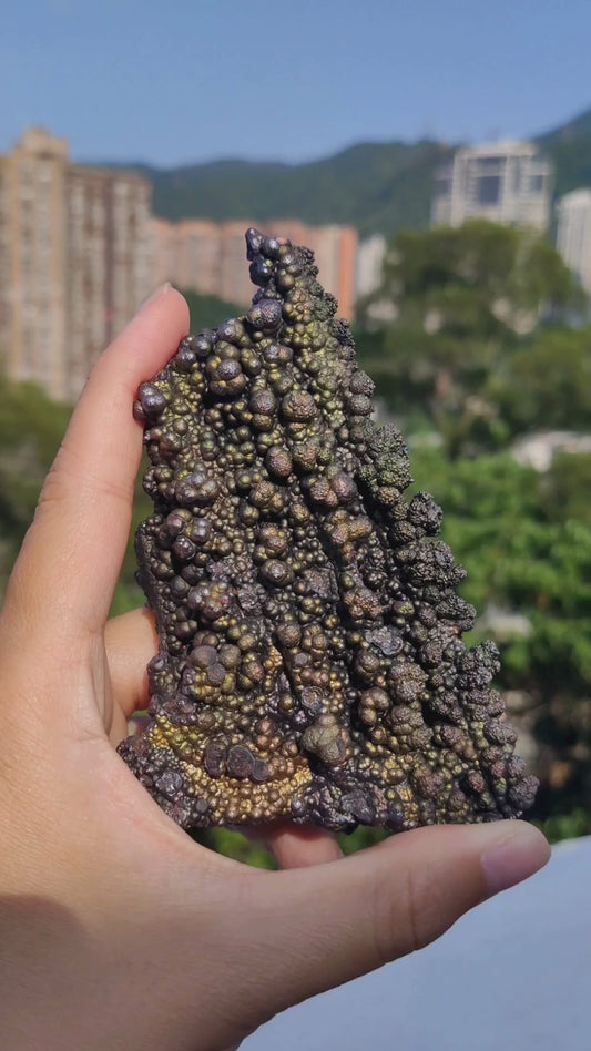 黃金系  金金老料甘露珠柱子  膽料  力泥