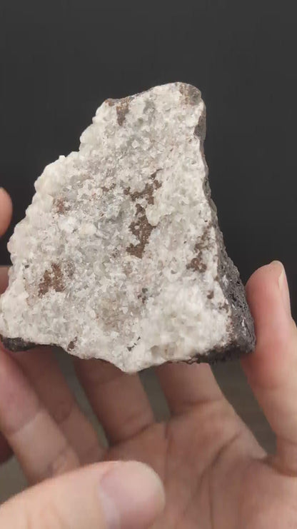 | 頂級 | 水晶力泥 | 力泥 | 稀有 | 滿牙  |