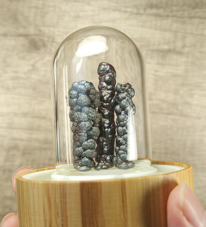 | 新春限定優惠 | 生活用品 | HARUKA 能量水樽 | 可擺放力泥 |