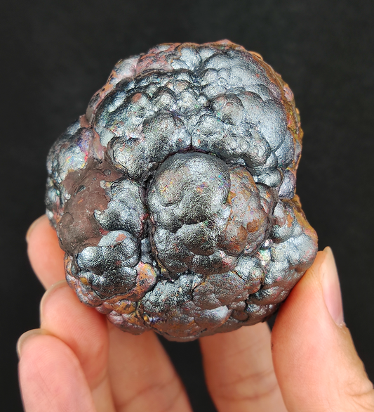 Premium Gold &amp; Silver Giant Gall Stone | Ultimate "Single Gall" King Variety (Approx. 5.8x5.3cm) | Imperial Gold Metamorphosis x Silver Prosperity &amp; Defense | Natural Malaysia Living Stone