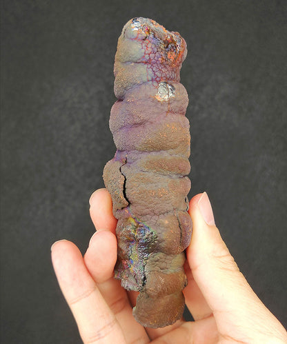 Premium Malaysia Natural Leklai Pillar 11.7cm | Aged Purple Shell | Wisdom Anchor & Career Guardian | Directional Wealth Manifestation
