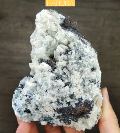 [Crystal Clarity] 10CM Big Tooth Crystal Leklai | Full Growth Specimen | Harmony of Strength & Softness | Spatial Energy Purifier