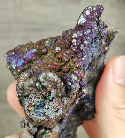頂級「亞嚕家大佛珠」深紫色擺件 | 景品系 ｜ 深紫 x 銀爆色 ｜ 極品膽料能量 ｜ 穩定情緒與招財守護 ｜ 馬來西亞力泥 ｜ 附送專屬擺件木架