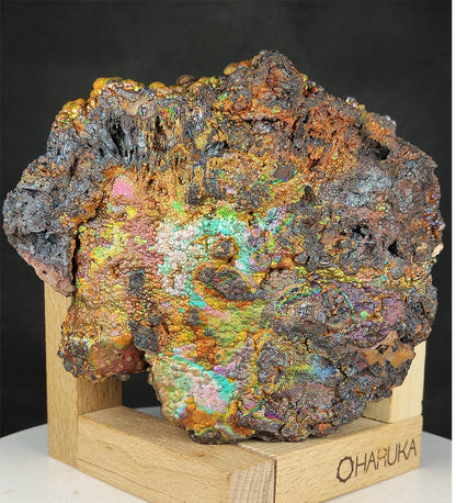 [Golden Prosperity] 11CM Premium Golden Rainbow Gallstone Leklai | Peak Wealth Manifestation | Core Energy Anchor | Executive Field Protection