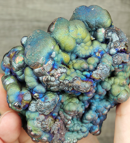 Aged Buddha Bead Leklai Display | Rare Sky Blue & Green Burst | Health Shield & Career Growth | Malaysia Natural Leklai