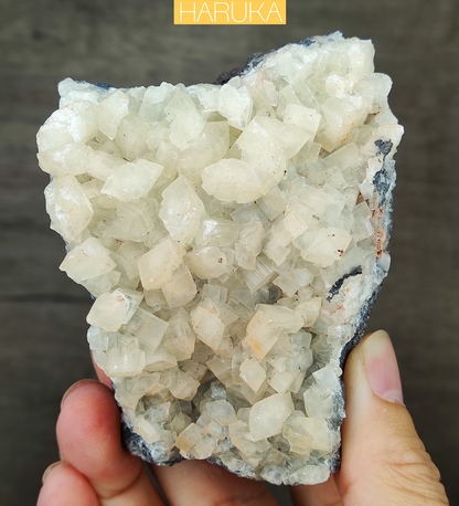 Natural Large-Tooth Crystal Leklai | Shield of Purity & Manifestation for Executive Success