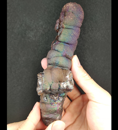 Collection Grade Buddha Pillar | 14.3cm Overlapping Cross Form | Ultimate Corporate Defense & Wealth Anchor | Natural Malaysian Leklai