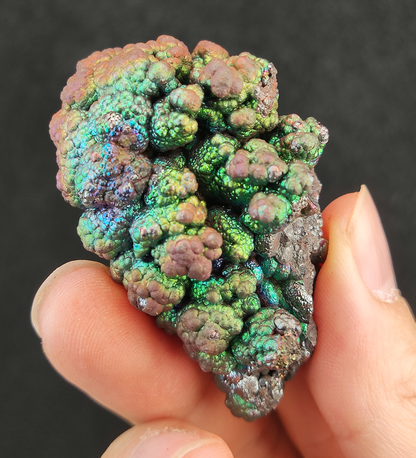 頂級「菩提珠」仙人掌形態擺件 | 銀綠金爆色之最 (約 4.1x2.2cm) | 事業生機、金錢顯化與強效防護 | 能量集中、顯色層次分明 | 馬來西亞天然能量活石