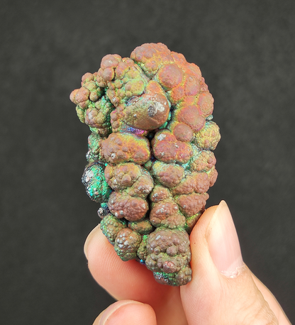 頂級「菩提珠」仙人掌形態擺件 | 銀綠金爆色之最 (約 4.1x2.2cm) | 事業生機、金錢顯化與強效防護 | 能量集中、顯色層次分明 | 馬來西亞天然能量活石
