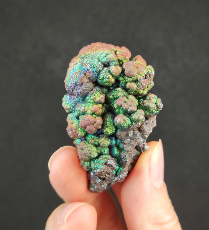 頂級「菩提珠」仙人掌形態擺件 | 銀綠金爆色之最 (約 4.1x2.2cm) | 事業生機、金錢顯化與強效防護 | 能量集中、顯色層次分明 | 馬來西亞天然能量活石