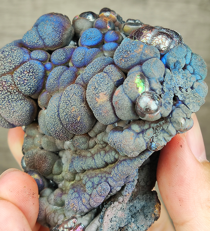 "HARUKA Giant Buddha Bead" Blue Tree of Life Specimen | Blue x Brown x Yellow x Silver | Elite Old Core Material | Wellbeing & Abundance Anchor | Natural Malaysian Leklai