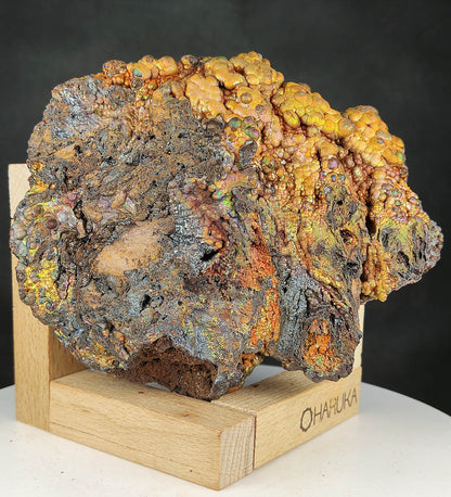 [Golden Prosperity] 11CM Premium Golden Rainbow Gallstone Leklai | Peak Wealth Manifestation | Core Energy Anchor | Executive Field Protection