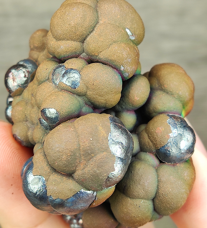 "HARUKA Giant Buddha Bead" Brown Specimen | Brown x Green x Silver Spectrum | Elite Old Core Material | Foundation Stability & Wealth Shield | Natural Malaysian Leklai