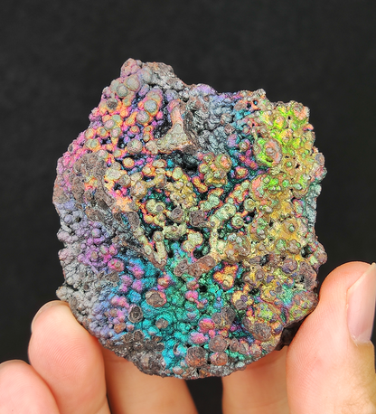 Top Grade Gold-Green-Blue Manifestation | Business Expansion & Spiritual Recovery Strategic Execution | Natural Malaysian Leklai Living Stone (Aged Dan Core)