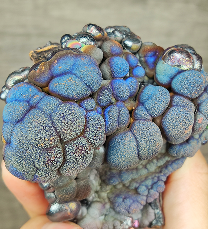 "HARUKA Giant Buddha Bead" Blue Tree of Life Specimen | Blue x Brown x Yellow x Silver | Elite Old Core Material | Wellbeing & Abundance Anchor | Natural Malaysian Leklai
