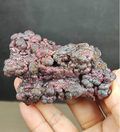 Top Grade Silver Series | Poodle Formation Rainbow Leklai | Resonance of Elegance and Vitality