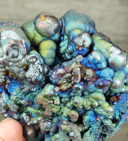 Aged Buddha Bead Leklai Display | Rare Sky Blue & Green Burst | Health Shield & Career Growth | Malaysia Natural Leklai