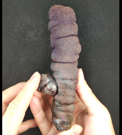 Collection Grade Buddha Pillar | 14.3cm Overlapping Cross Form | Ultimate Corporate Defense & Wealth Anchor | Natural Malaysian Leklai