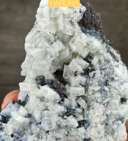 [Crystal Clarity] 10CM Big Tooth Crystal Leklai | Full Growth Specimen | Harmony of Strength & Softness | Spatial Energy Purifier