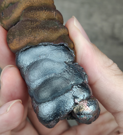 Haruka Buddha Pillar | Collection Grade | 10.3cm Multi-Hue Specimen | Ultimate Directional Power & Global Shield | Natural Malaysian Leklai