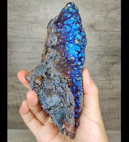 "Collection Grade" Fluorescent Bodhi Bead | Shark Fin Shape Energy Core | Blue, Purple &amp; Silver Manifestation | Health, Wisdom &amp; Status Anchor | Malaysia Natural Leklai