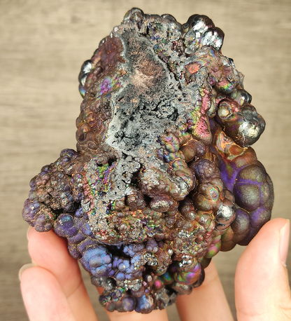 "Collector's Grade" Giant Bodhi Bead | Rare Blue, Purple &amp; Pink Manifestation | Protection, Wealth Magnet &amp; Aura Detox | Malaysia Natural Leklai