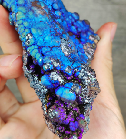 "Collection Grade" Fluorescent Bodhi Bead | Shark Fin Shape Energy Core | Blue, Purple &amp; Silver Manifestation | Health, Wisdom &amp; Status Anchor | Malaysia Natural Leklai