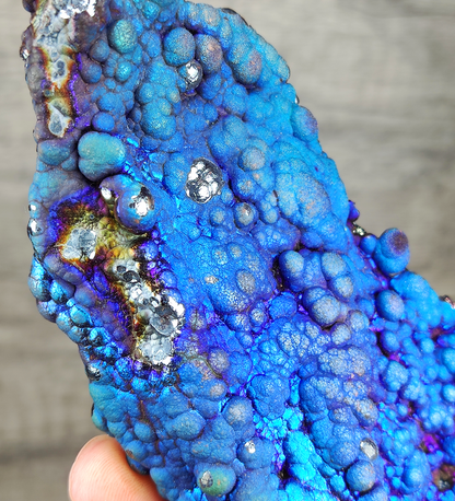 "Collection Grade" Fluorescent Bodhi Bead | Shark Fin Shape Energy Core | Blue, Purple &amp; Silver Manifestation | Health, Wisdom &amp; Status Anchor | Malaysia Natural Leklai