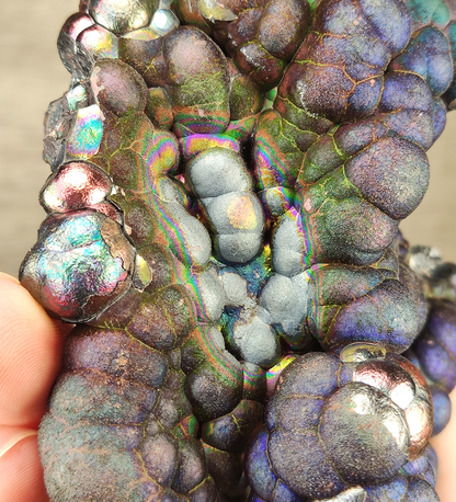 "Collector's Grade" Giant Bodhi Bead | Rare Blue, Purple &amp; Pink Manifestation | Protection, Wealth Magnet &amp; Aura Detox | Malaysia Natural Leklai
