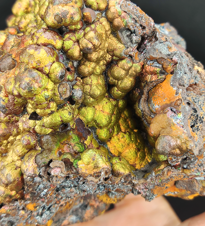 Top Grade Gold-Gold Dan Core | Supreme Wealth Manifestation & Status Stability | Natural Malaysian Leklai Living Stone