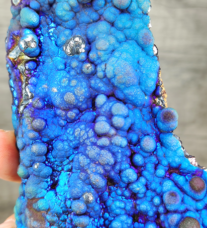 "Collection Grade" Fluorescent Bodhi Bead | Shark Fin Shape Energy Core | Blue, Purple &amp; Silver Manifestation | Health, Wisdom &amp; Status Anchor | Malaysia Natural Leklai
