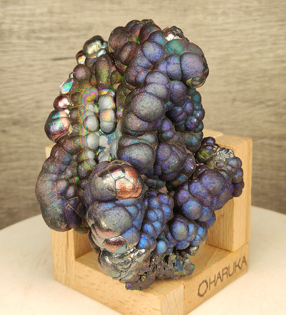 "Collector's Grade" Giant Bodhi Bead | Rare Blue, Purple &amp; Pink Manifestation | Protection, Wealth Magnet &amp; Aura Detox | Malaysia Natural Leklai