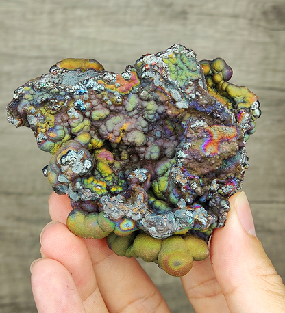 "HARUKA Giant Buddha Bead" Quad-Color Specimen | Green x Gold x Blue x Silver | Elite Old Core Material | Universal Frequency & Wealth Anchor | Natural Malaysian Leklai