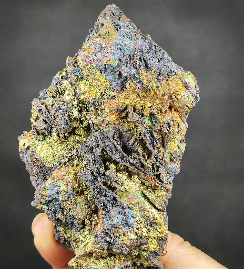 | 黃金系 | 金金 x 七彩力泥 | 膽料 | 力泥 |