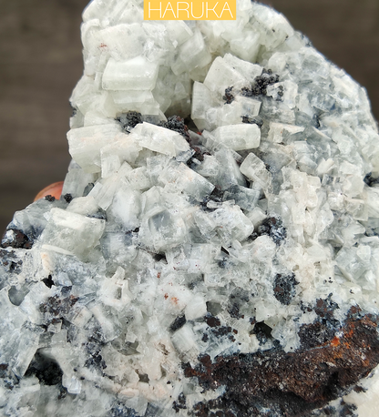 [Crystal Clarity] 10CM Big Tooth Crystal Leklai | Full Growth Specimen | Harmony of Strength & Softness | Spatial Energy Purifier