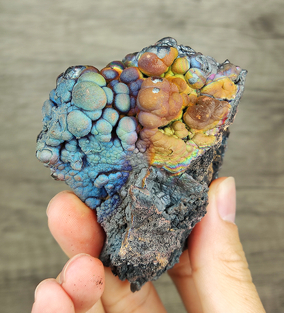 "HARUKA Giant Buddha Bead" Blue Tree of Life Specimen | Blue x Brown x Yellow x Silver | Elite Old Core Material | Wellbeing & Abundance Anchor | Natural Malaysian Leklai