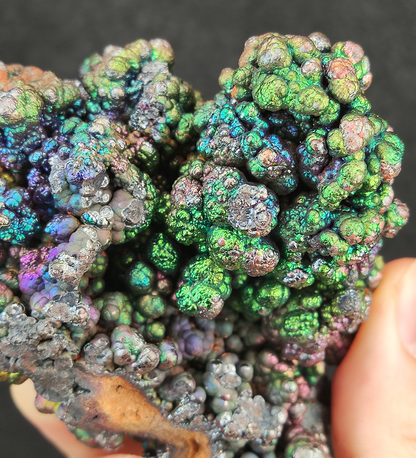Premium "Bodhi Bead" Christmas Tree Malaysia Leklai | Silver-Purple-Blue-Green Vibrant Colors | Rare Cyan Energy | Career Ascension & Emotional Protection