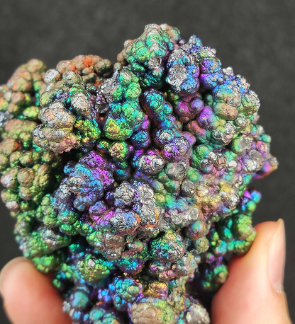 Premium "Bodhi Bead" Christmas Tree Malaysia Leklai | Silver-Purple-Blue-Green Vibrant Colors | Rare Cyan Energy | Career Ascension & Emotional Protection