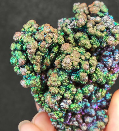 Premium "Bodhi Bead" Christmas Tree Malaysia Leklai | Silver-Purple-Blue-Green Vibrant Colors | Rare Cyan Energy | Career Ascension & Emotional Protection
