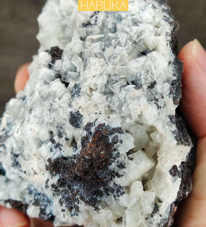 [Crystal Clarity] 10CM Big Tooth Crystal Leklai | Full Growth Specimen | Harmony of Strength & Softness | Spatial Energy Purifier