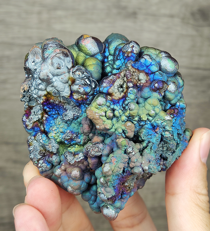Aged Buddha Bead Leklai Display | Rare Sky Blue & Green Burst | Health Shield & Career Growth | Malaysia Natural Leklai