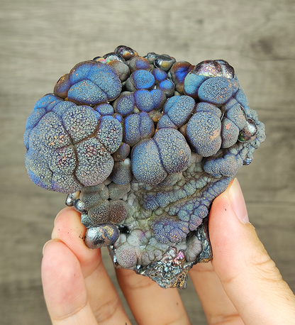 "HARUKA Giant Buddha Bead" Blue Tree of Life Specimen | Blue x Brown x Yellow x Silver | Elite Old Core Material | Wellbeing & Abundance Anchor | Natural Malaysian Leklai