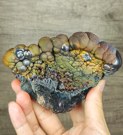 "HARUKA Giant Buddha Bead" Rainbow Double-Sided Specimen | Brown x Yellow x Silver | Elite Old Core Material | Status Stability & Wealth Manifestation | Natural Malaysian Leklai