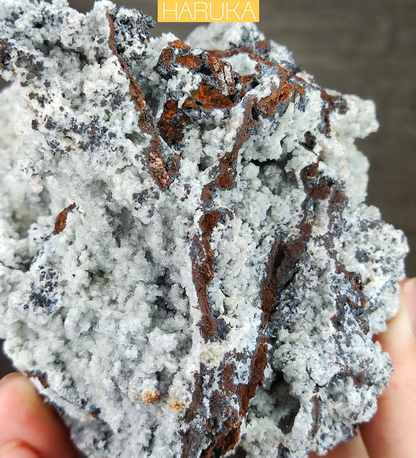 Natural Large-Tooth Crystal Leklai | Shield of Authority & Manifestation for Global Business