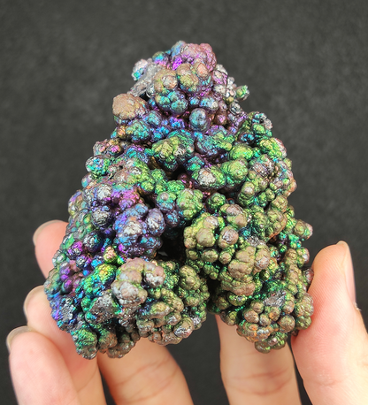 Premium "Bodhi Bead" Christmas Tree Malaysia Leklai | Silver-Purple-Blue-Green Vibrant Colors | Rare Cyan Energy | Career Ascension & Emotional Protection