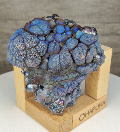 "HARUKA Giant Buddha Bead" Blue Tree of Life Specimen | Blue x Brown x Yellow x Silver | Elite Old Core Material | Wellbeing & Abundance Anchor | Natural Malaysian Leklai