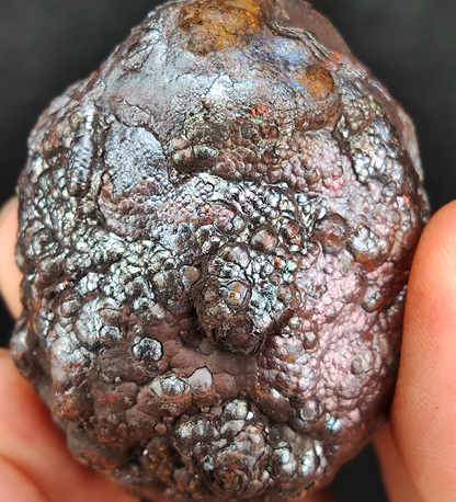 "Premium" Gold, Silver & Pink Gall Leklai | Solid & Rounded High-Energy "Core Gall" | King Series, High-Level Gold Transformation | Malaysia Leklai