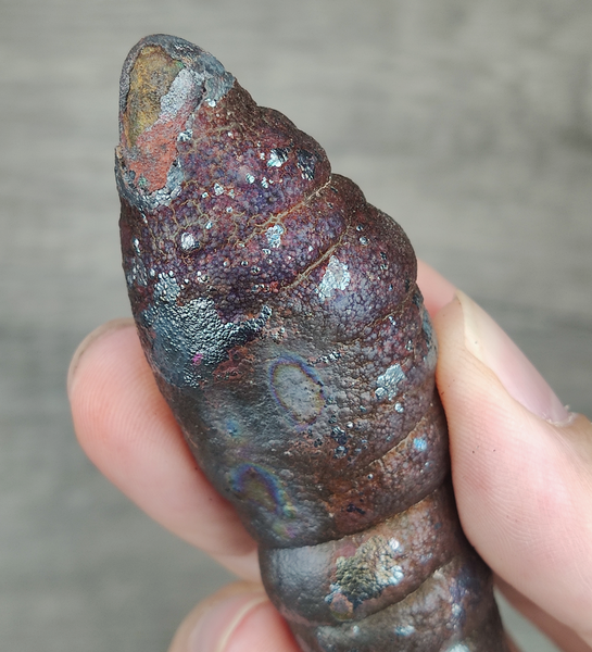 | Goethite Pillar(8.6cm) | Top premium rare Iridescent Goethite, Turgite, Hematite, Iridescent | COLOUR: Bronze gold, brown | 100% natural color |
