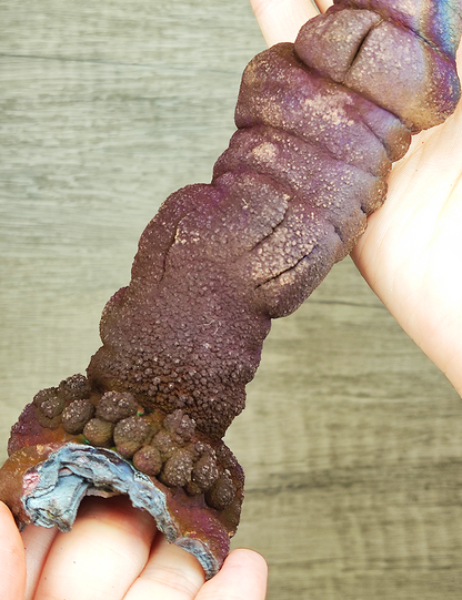 [Collector's Grade] Ancient Buddha Leklai Pillar 19cm | Robust Gallstone Core | Sacred Purple Radiance | Supreme Shield & Abundance